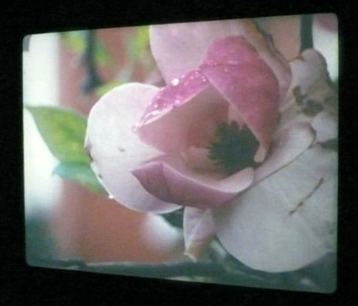 16mm film, black and white and colour, 1:1.33, optical sound