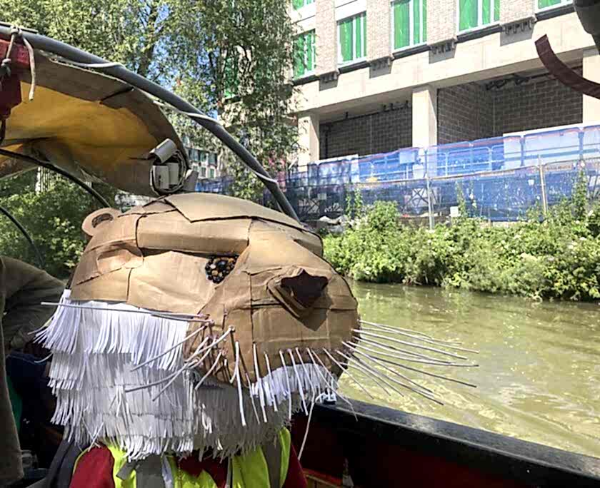 Otter_on_boat.jpeg