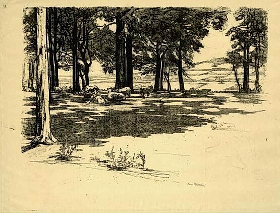 Sheep on the Downs, Wye (1921)